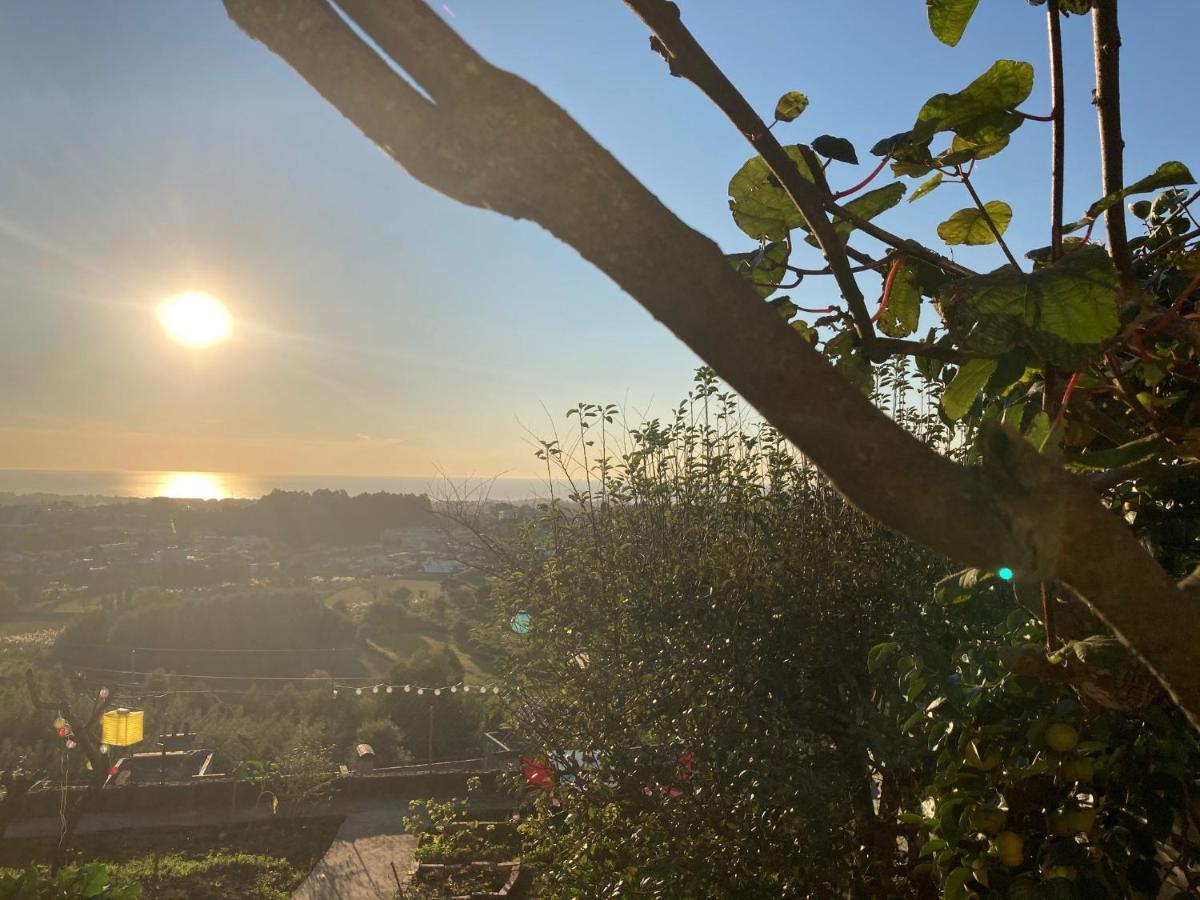 Alfazema Sunset House Panzió Vila Nova de Gaia Kültér fotó